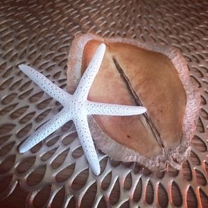 Meet your Posher, Heeda